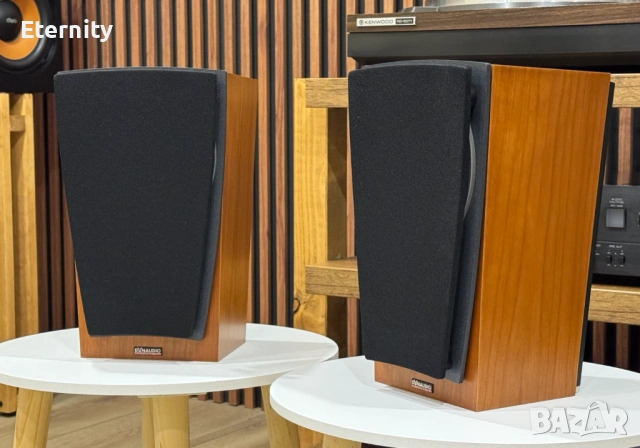 Dynaudio Contour SR / Тонколони, снимка 7 - Тонколони - 53433247