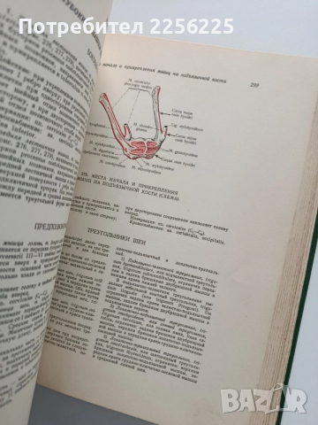 Атлас - Анатомии человека ( том 1), снимка 9 - Специализирана литература - 54031411