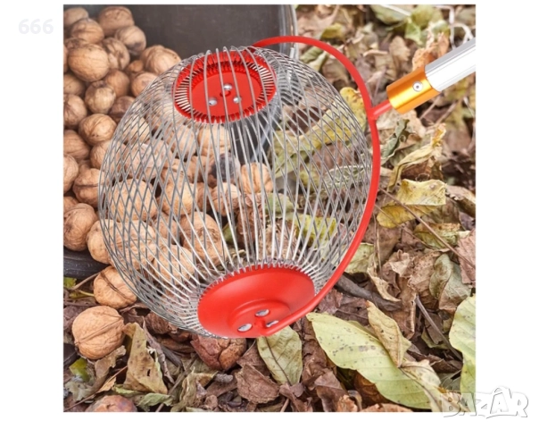 Събирач на орехи,лешници,ядки, кестени и други, снимка 4 - Други - 52936504