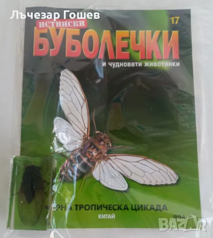 Продавам: Истински буболечки - № 17: ЧЕРНА ТРОПИЧЕСКА ЦИКЛАМА, снимка 1 - Списания и комикси - 46914525