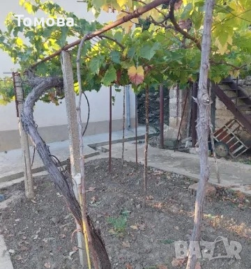 Продавам  двуетажна къща с двор в село Горна Бешовица, снимка 9 - Къщи - 43938383