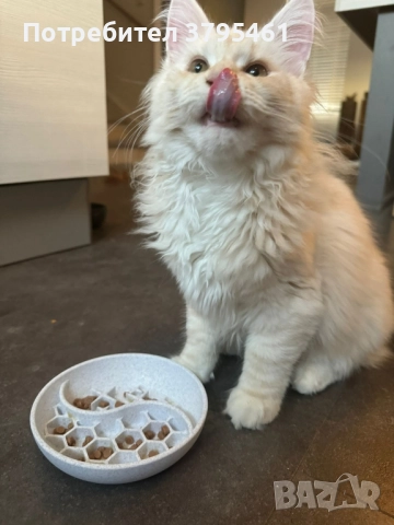Купички за бавно хранене, снимка 4 - За кучета - 51457748