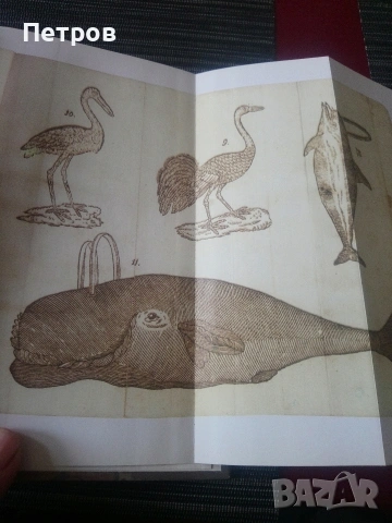 Рибен буквар-юбилейно издание! 