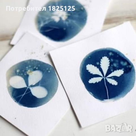 Материали за Цианотипия Cyanotype комплекти, разтвори, вещества, химия, снимка 5 - Декорация за дома - 45163868