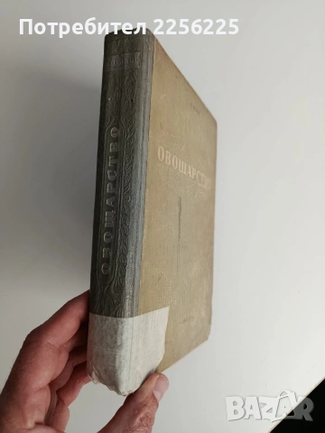 Овощарство 1954г , снимка 13 - Специализирана литература - 53075504