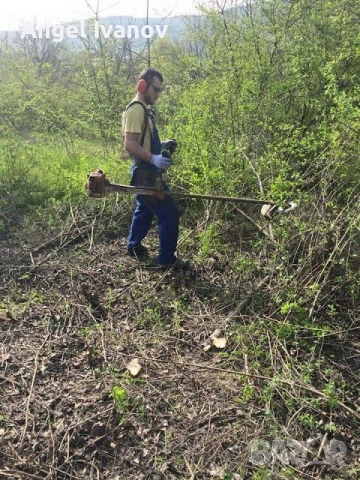 почистване на дворове градини и строителни материали материали работим с личен наш транспорт, снимка 2 - Разсади - 52777146
