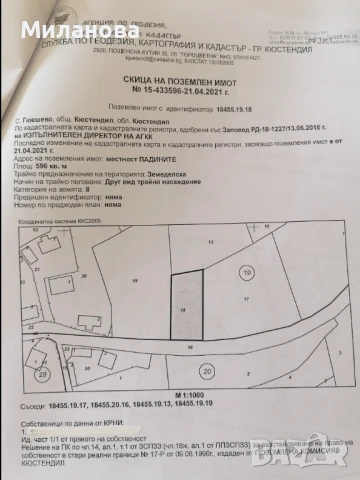 Продавам земеделска земя с.Гюешево., снимка 5 - Земеделска земя - 50913537
