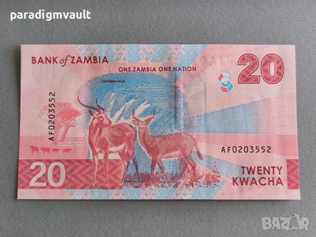 Банкнота - Замбия - 20 квача UNC | 2025г., снимка 2 - Нумизматика и бонистика - 51006144