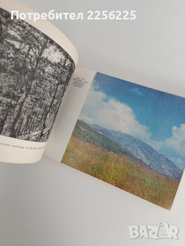 Планината Витоша, снимка 5 - Енциклопедии, справочници - 53711825