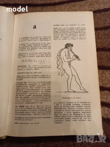 Музикален терминологичен речник - Светослав Четриков, снимка 3 - Други - 49581727
