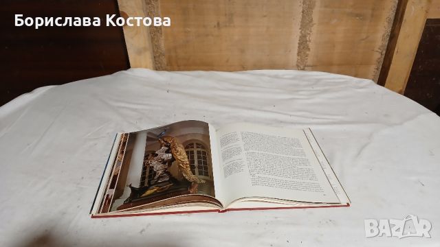 книга за замъците, снимка 18 - Други - 46764950