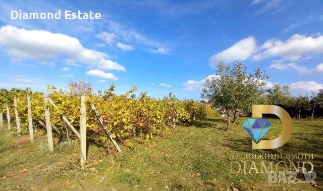 Двуетажна къща в село Хлябово, общ. Тополовград, снимка 5 - Къщи - 52153825