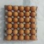 Яйца за люпене, снимка 1 - Кокошки и пуйки - 45730370