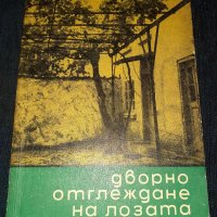 Дворно отглеждане на лозата - Цветан Маринов 1961, снимка 1 - Специализирана литература - 45565567