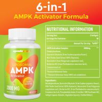 Липозомна AMPK активираща добавка 2000 mg, 6-в-1, 60 капсули, снимка 7 - Хранителни добавки - 45543725