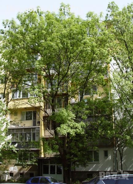Четиристаен тухлен апартамент кв Лозенец, снимка 1