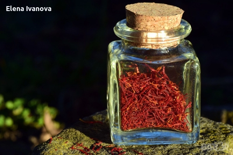 Натурални нишки от домашно виреeщ шафран (Crocus sativus) – Българска продукция“, снимка 1