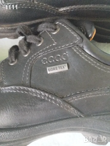 Ecco coretex номер 42., снимка 1