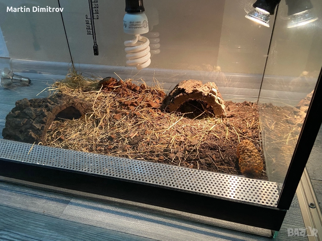 Терариум, оборудван, снимка 1