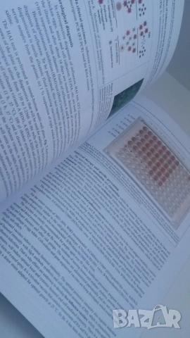 Микробиология - Manual for practical exercises in medical microbiology Part II - Митов, 2020, снимка 8 - Учебници, учебни тетрадки - 54084477