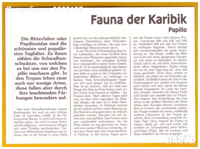 1 ПЕСО 1996 ГОДИНА /КУБА/ В НУМИЗМАТИЧЕН ПЛИК, снимка 6 - Нумизматика и бонистика - 52320821
