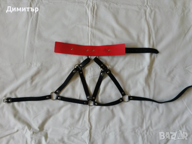 Харнес с нашийник, снимка 4 - Други - 54247839