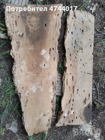 Сухи Талпи от Орех , снимка 11 - Други - 54011466