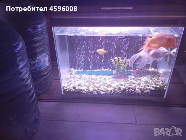 Продавам аквариум amtra modern tank, снимка 2 - Аквариуми - 53034432