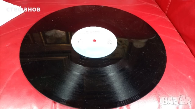 Голяма грамофонна плоча максисингъл maxi-single NELSON MANDELA, Германия, снимка 6 - Грамофонни плочи - 51036674