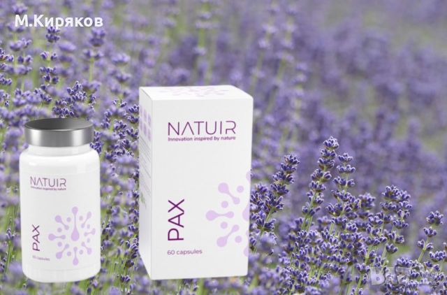 Pax (Пах) - Мощен антистресов комплекс от NATUIR, снимка 1 - Хранителни добавки - 46217355