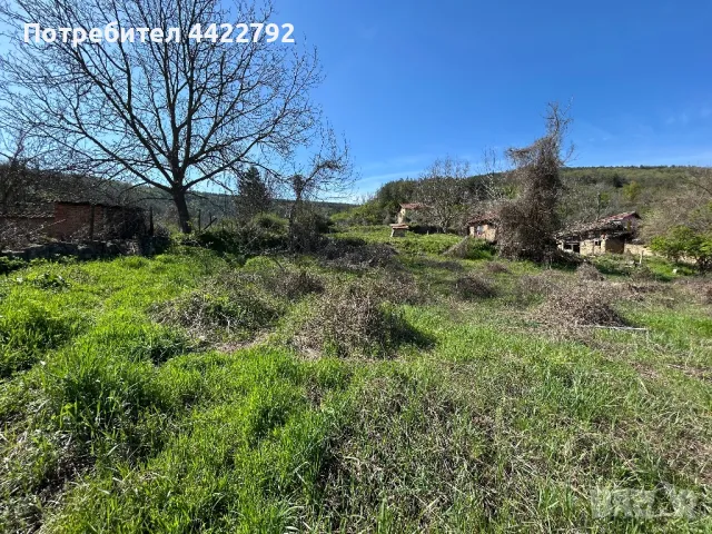 Парцел с стара къща , снимка 14 - Къщи - 49977807