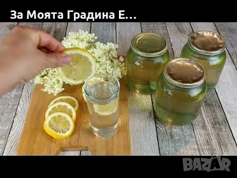 Бял бъз , снимка 4 - Градински цветя и растения - 49425952