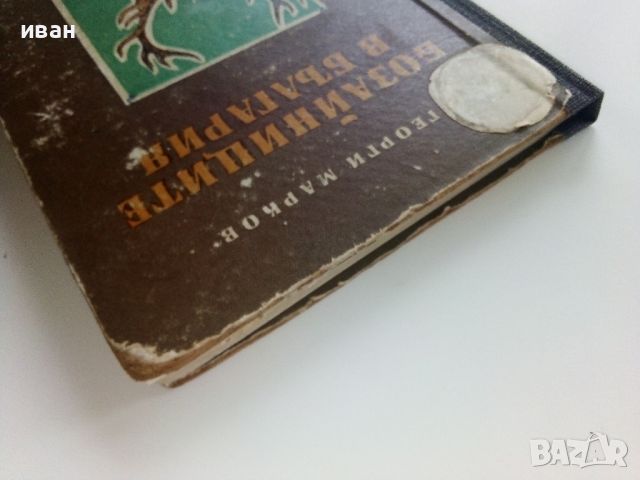 Бозайниците в България - Георги Марков - 1959г., снимка 12 - Енциклопедии, справочници - 46466650