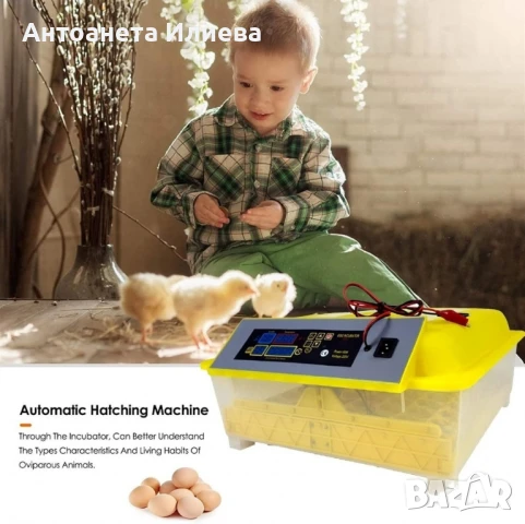 Напълно автоматичен инкубатор за 48 яйца 80W YZ8-48, снимка 4 - Други - 50938719