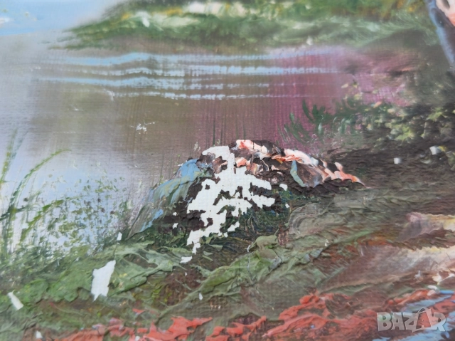 Платно маслени бои, снимка 4 - Картини - 52371989
