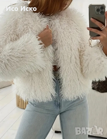 Дамсо зимно яке, снимка 3 - Якета - 51938208