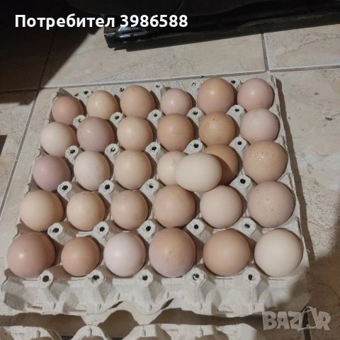 Яйца от щастливи кокошки.