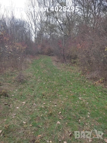 Имот в с.Габер, община Драгоман , снимка 8 - Парцели - 53387489