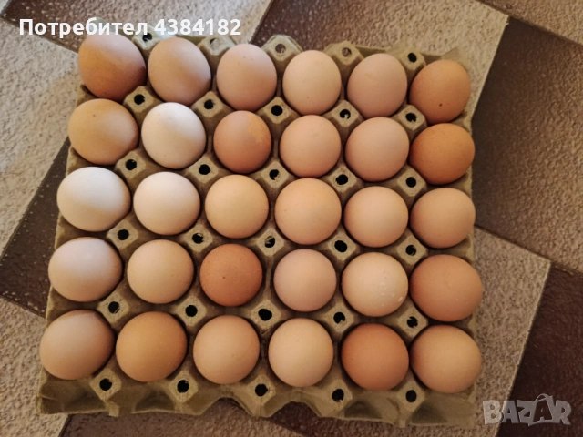 Продавам домашни яйца 
