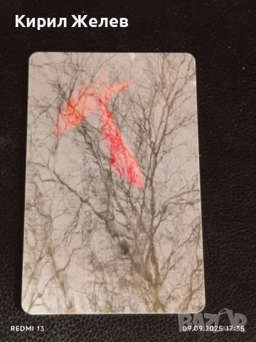 Три фонокарти БУЛ ФОН стари редки за КОЛЕКЦИЯ ДЕКОРАЦИЯ 50820, снимка 7 - Колекции - 51656903