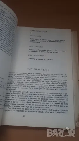 Биология 7 клас Народна Просвета 1987, снимка 8 - Учебници, учебни тетрадки - 47017936