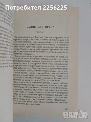 Когато Пловдив беше столица, снимка 2 - Художествена литература - 51365460