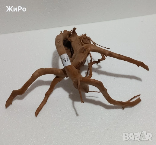 Корен от Азалия /декорация/ 32