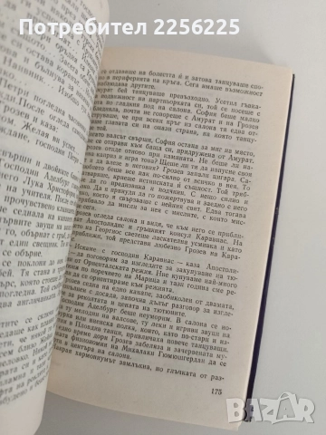Синият аметист, снимка 3 - Художествена литература - 52791092