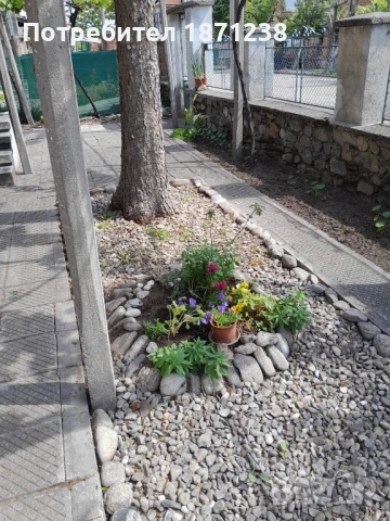 Двуетажна къща в с.Крумово от камък, тухла и бетон, снимка 4 - Къщи - 53497227