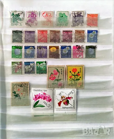 Пощенски марки цветя.130 бр.  К.1, снимка 3 - Филателия - 48874419