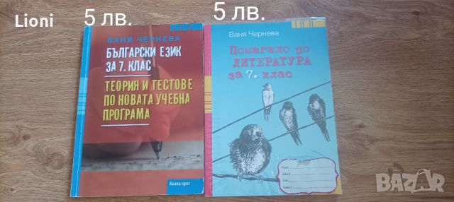 Учебни помагала за 7 клас , снимка 6 - Учебници, учебни тетрадки - 46317677