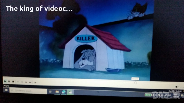 DVD Еротична анимация & Том и Джери 18+, снимка 5 - DVD филми - 53652608