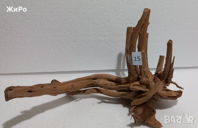 Корен от Азалия /декорация/ 15