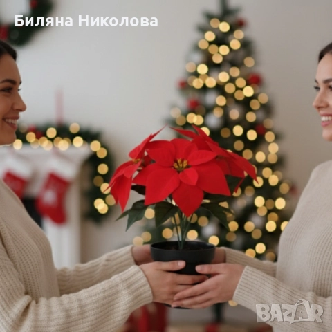 Вечна празнична Коледна звезда – реалистична украса, снимка 3 - Декорация за дома - 52467437